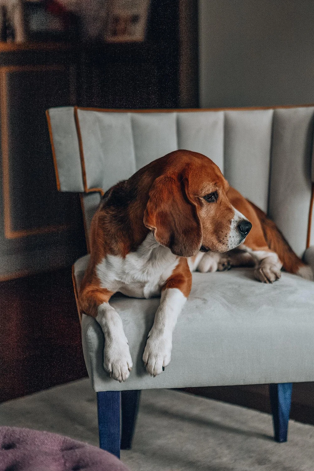 Попробуйте профессию без лишних иллюзий